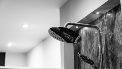 7 Best Shower Heads in Canada for 2024